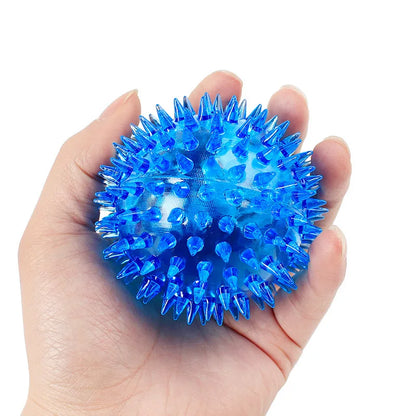 Luminous Sound Bouncy Ball Dog Toy