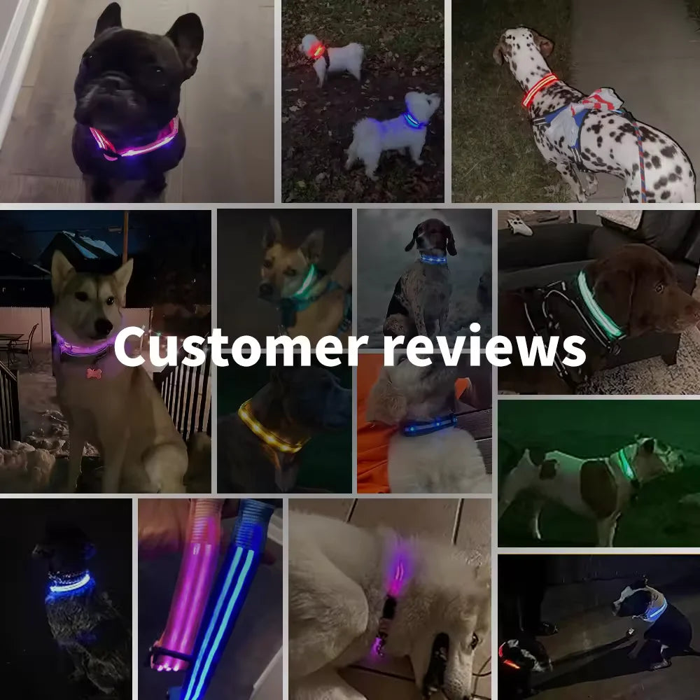 Adjustable LED Glowing Dog Collar