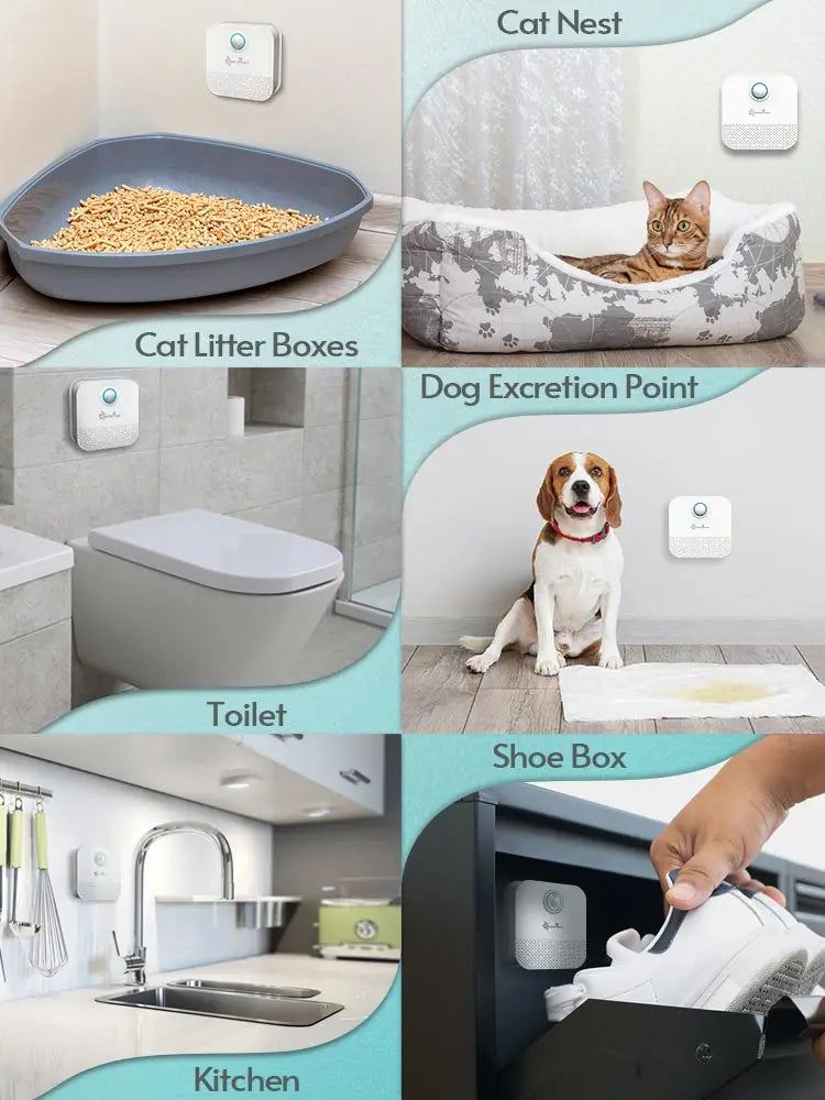 Smart Cat Litter Box