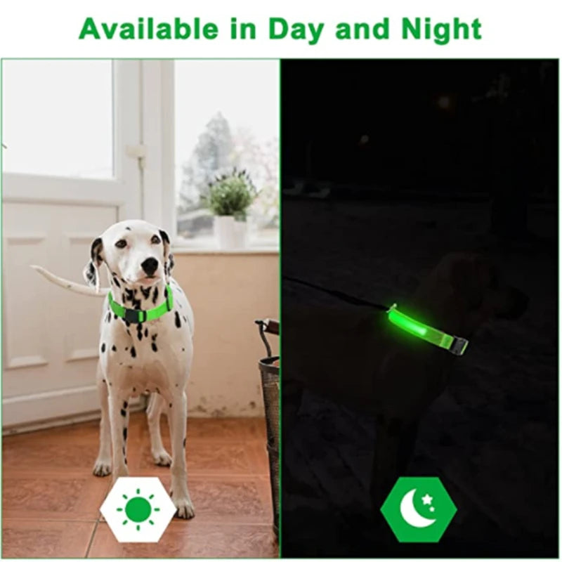 Adjustable LED Glowing Dog Collar