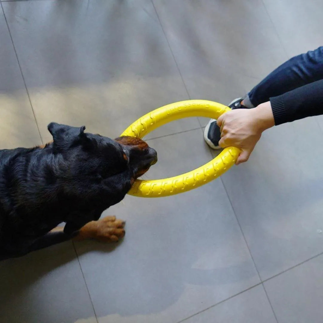 Dog Ring Toy for Fetch and Chewing