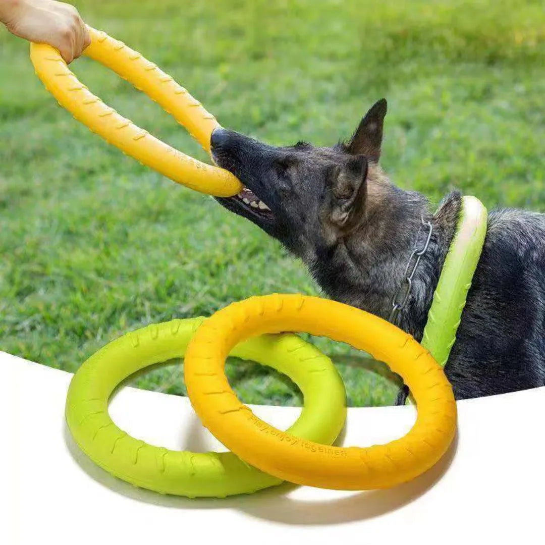 Dog Ring Toy for Fetch and Chewing