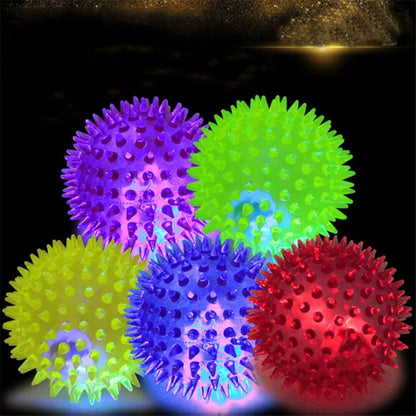 Luminous Sound Bouncy Ball Dog Toy