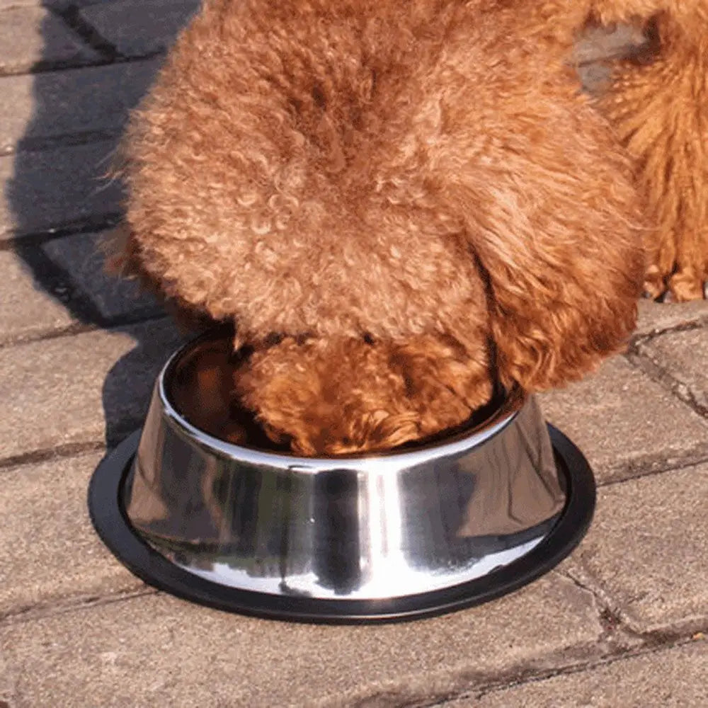 Stainless Steel Anti-Slip Dog Bowl