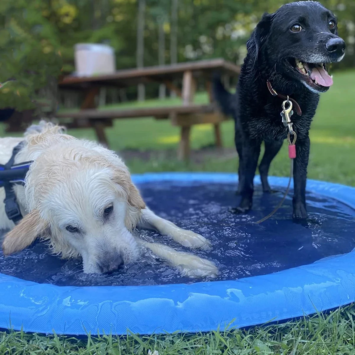 Summer Pet Inflatable Water Sprinkler Pad