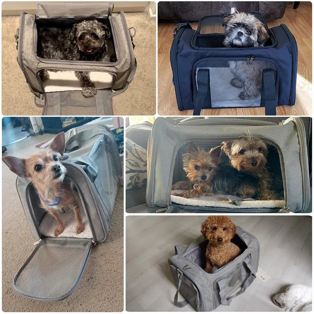 Soft-Sided Dog Carrier Backpack