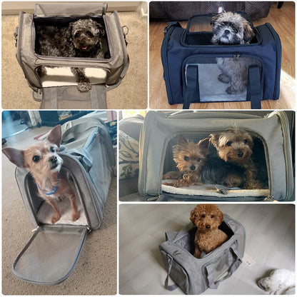 Soft-Sided Dog Carrier Backpack