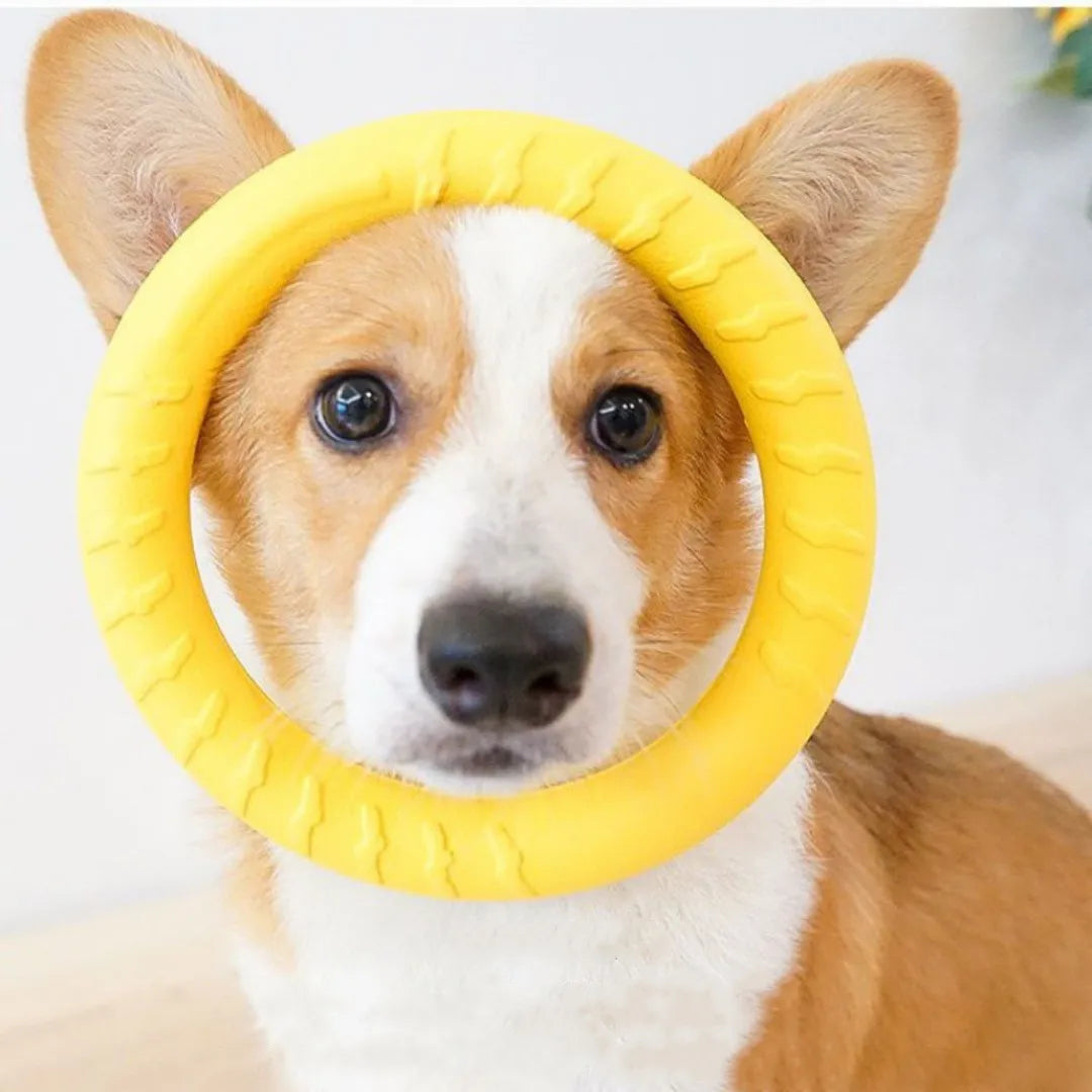 Dog Ring Toy for Fetch and Chewing